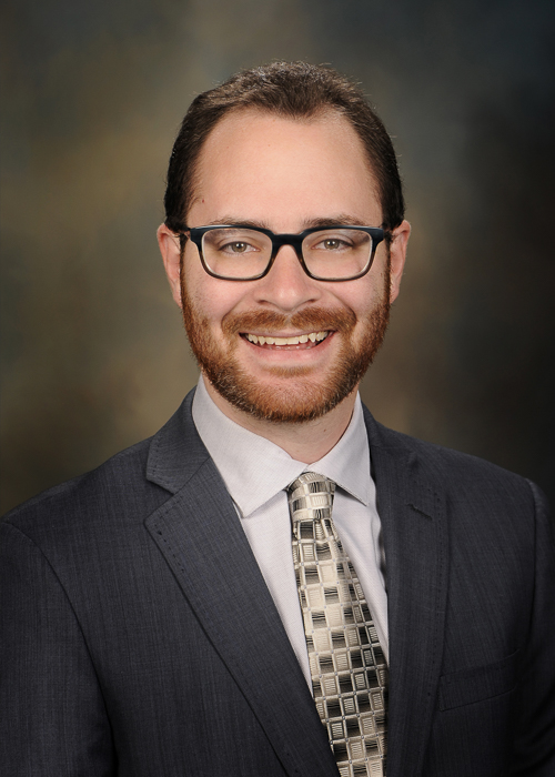 Photograph of Representative  Daniel Didech (D)